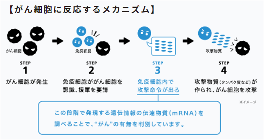 がん細胞に反応するメカニズム